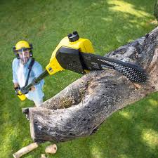 Mulching Services in Marvin, NC